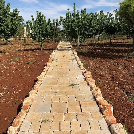 Сasa de vacaciones Ulivo Monopoli