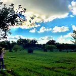 Ulivo *