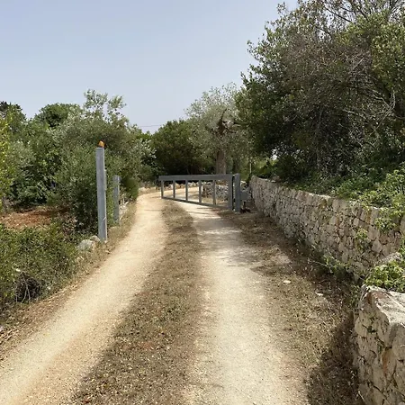 Monn Monopoli