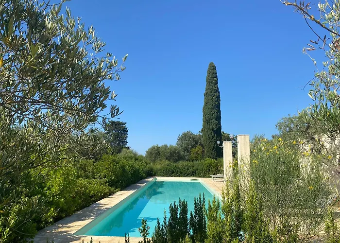 Ulivo * Monopoli